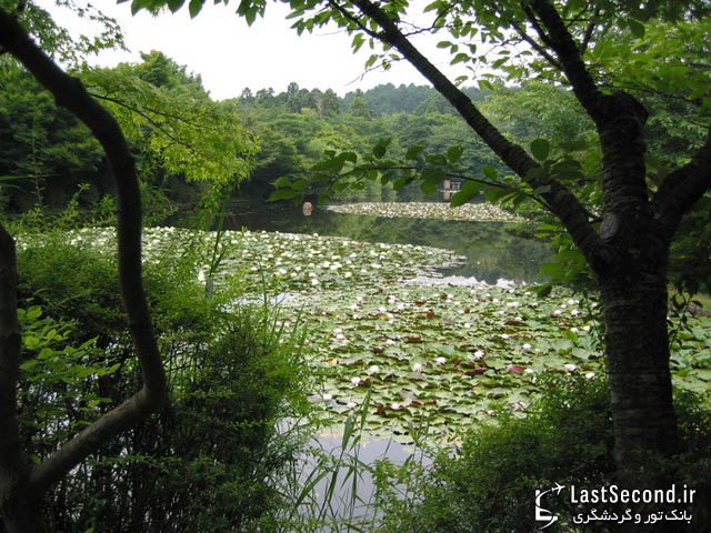 باغ زِن، ژاپن