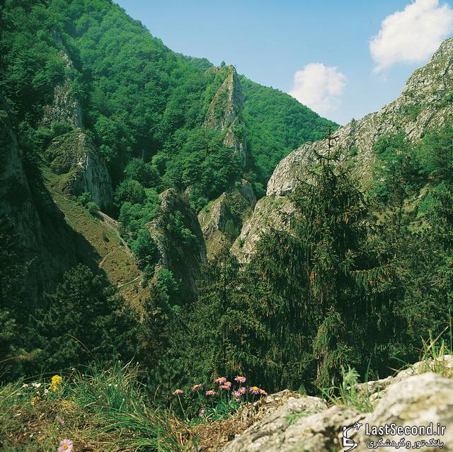 پارک ملی کارپاتیان در اوکراین