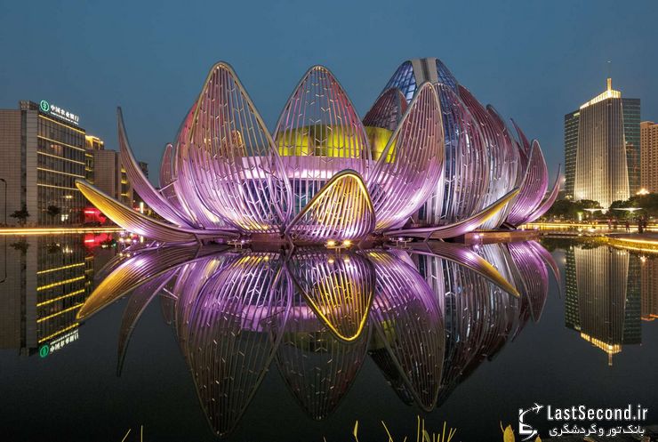 ساختمان گل‌های نیلوفر آبی در چین 