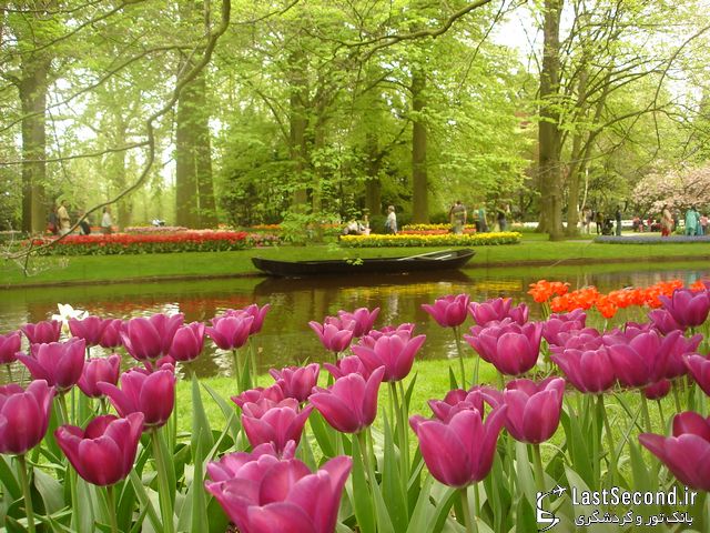  هلند باغ گل اروپا   