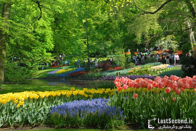  هلند باغ گل اروپا   