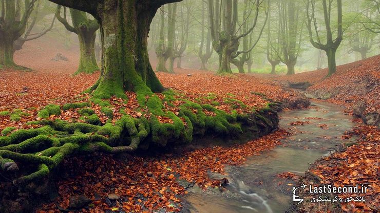  پارک طبیعی Gorbea، ایالات آلوا و ویزکایا (Alva-Vizcaya)، باسک، اسپانیا   