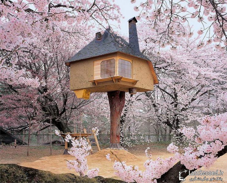  ده خانه‌ی درختی جالب در گوشه و کنار جهان   