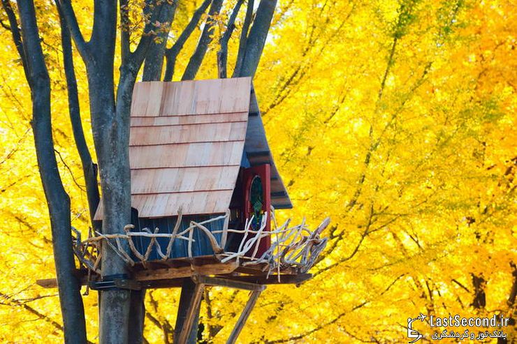  ده خانه‌ی درختی جالب در گوشه و کنار جهان   